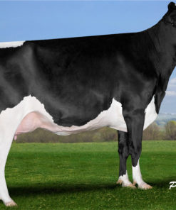 AIR FORCE MAMMA - PARAMOUNT-MB OBSERVER AGATE-ET VG85