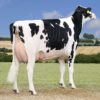 AMAX RDC NONNA - NOVA RR EXTRA SPECIAL 3 - VG87