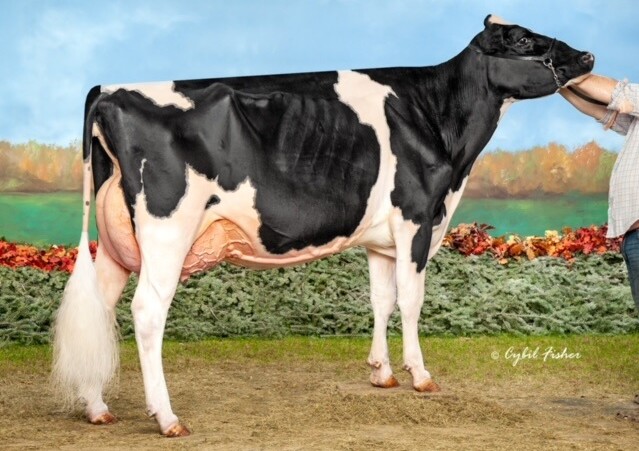 BRUMMEL NONNA: S-S-I DOC HAVE NOT 8783 EX-93