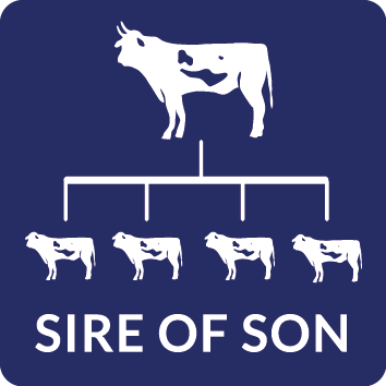 Sire of Son